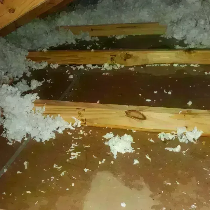 Attic Water Damage in Alamogordo, NM